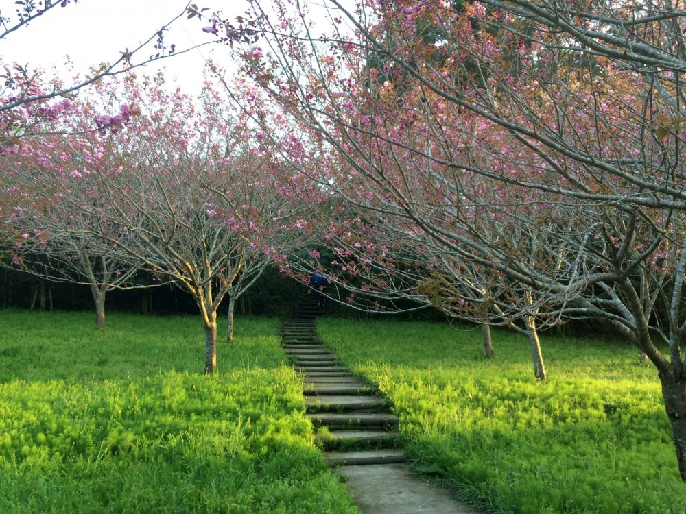 Tenjinyama Ryokuchi Park