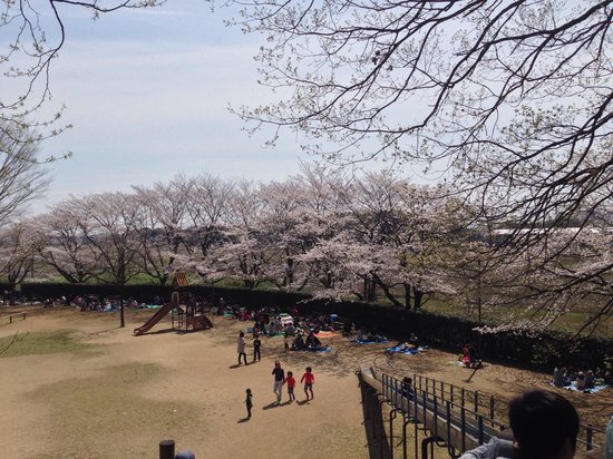 Uchimaki Park