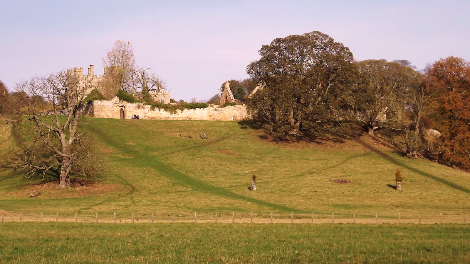 Hulne Park