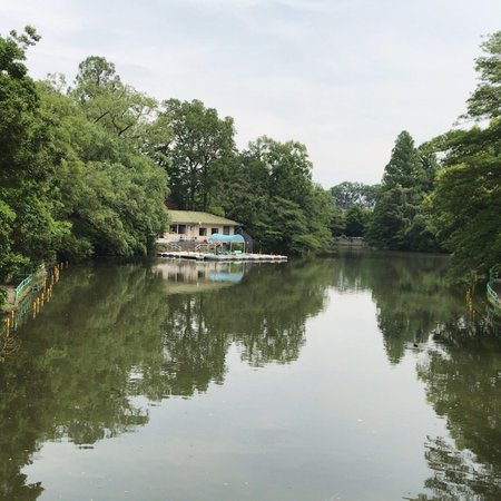 Musashiseki Park