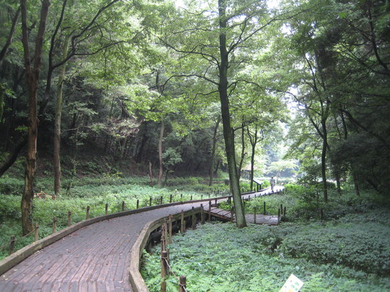 Outdoor Pictures 1