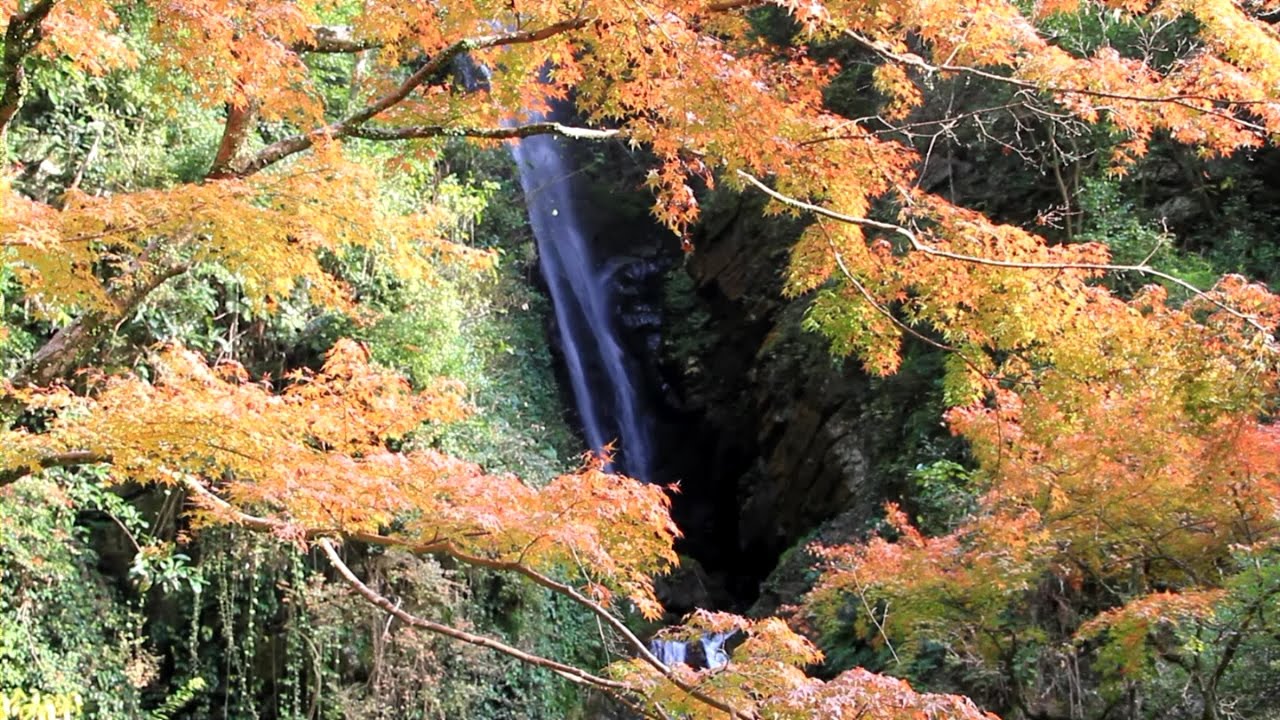 Shirataki Park