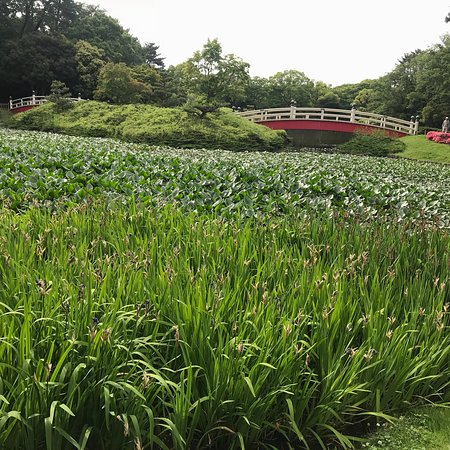 Uenodai Park