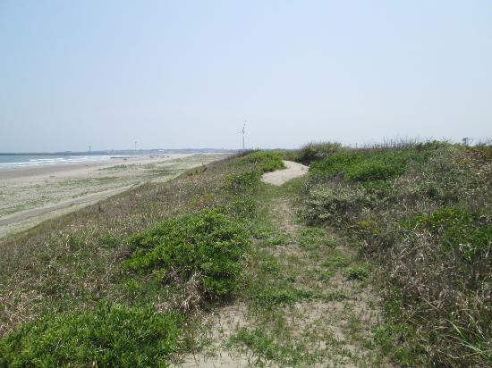 Hasaki Sand Dunes Plant Park