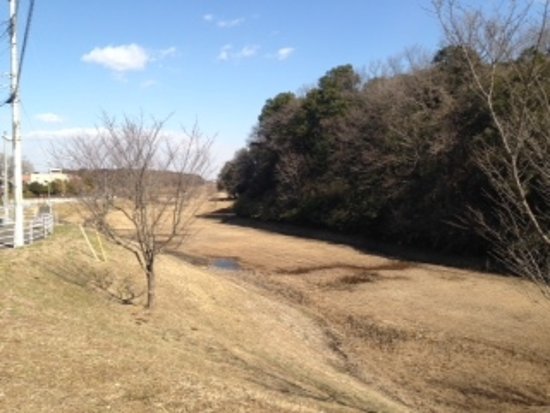 Moriyajoshi Park