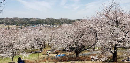 Sakuranoyama Park
