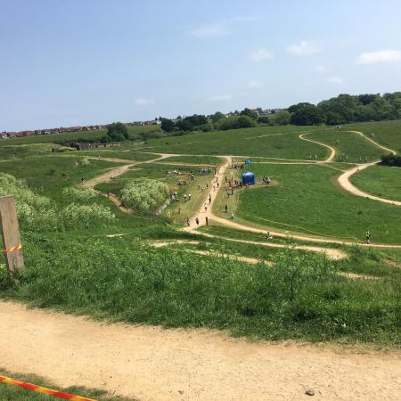 Hadleigh Country Park