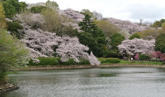Mitsuike Park