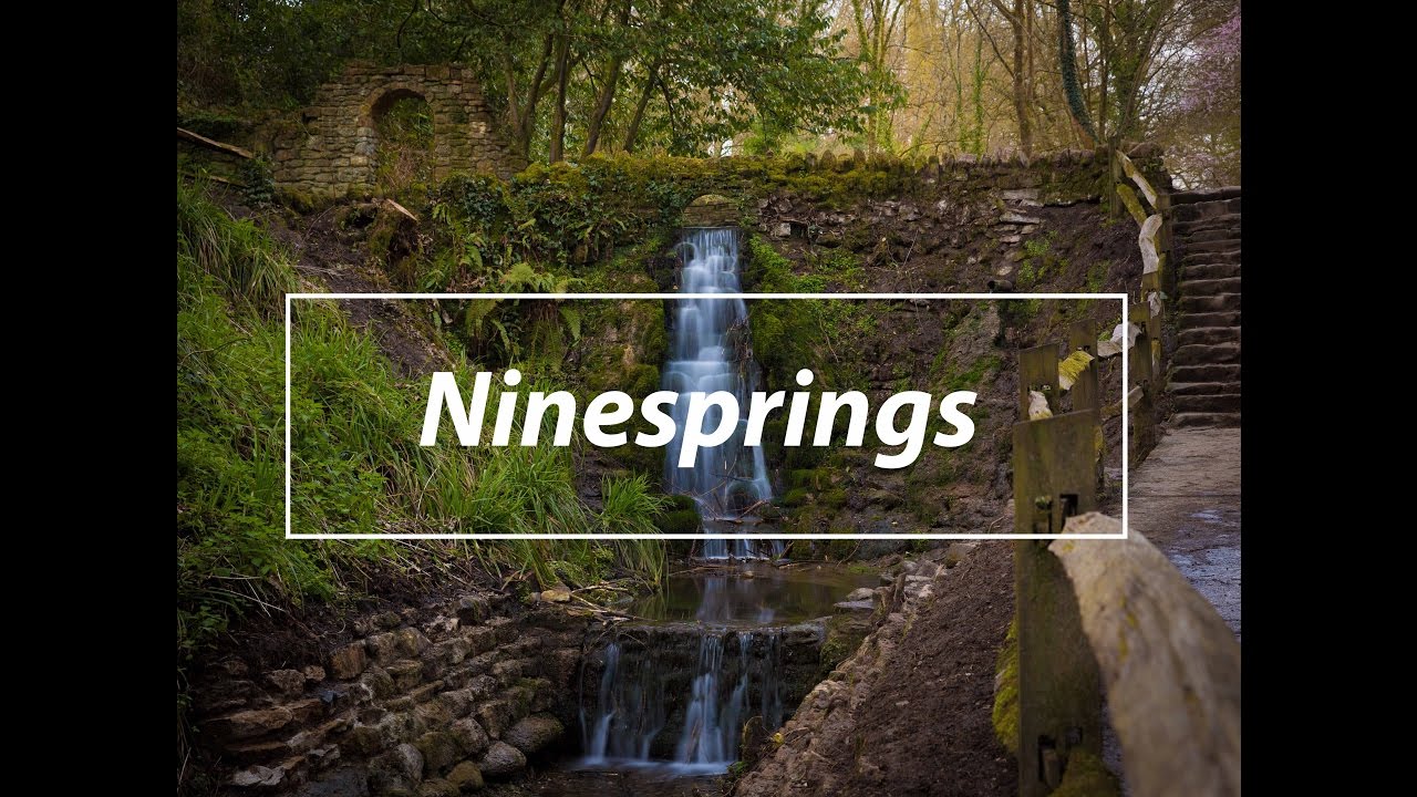 Ninesprings Country Park