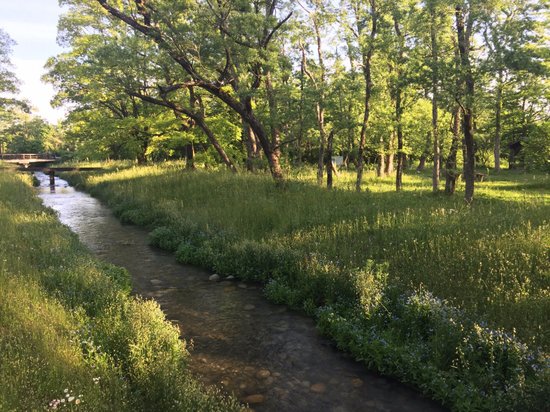 Hakanoki Nature Park