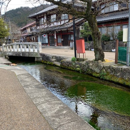 Samegaijyuku