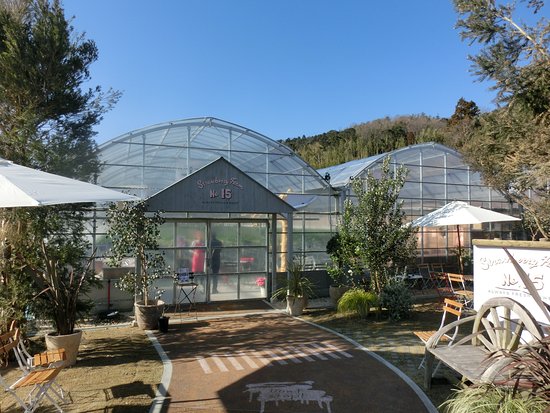 the Farm UNIVERSAL osaka