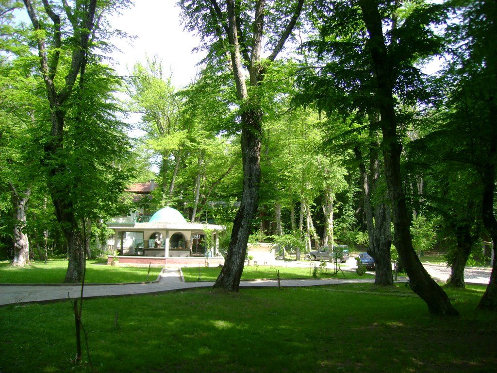 Tokadi Hayreddin Türbesi