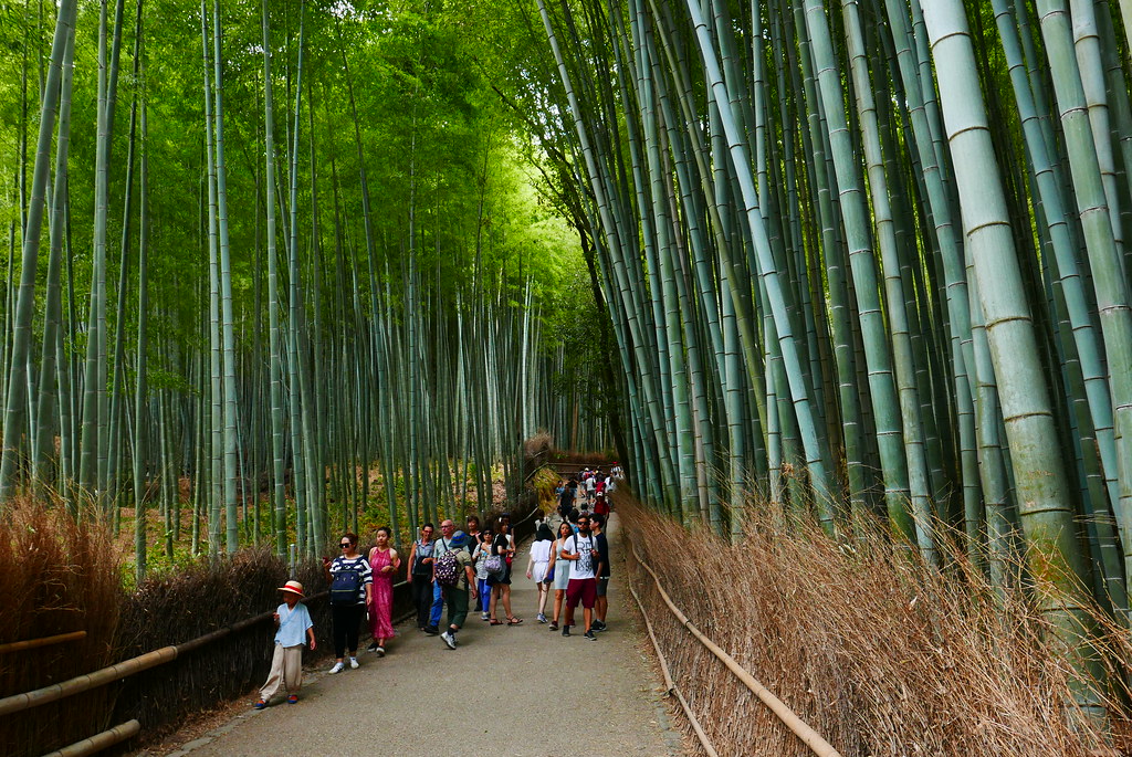 Bamboo Forest Street