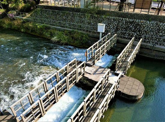 Tamagawa Aqueduct