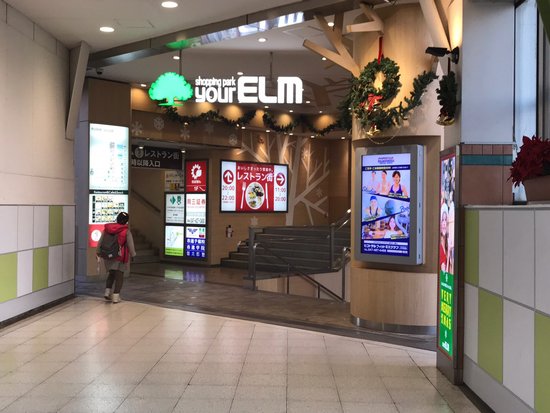 Your Elm Yachiyodai