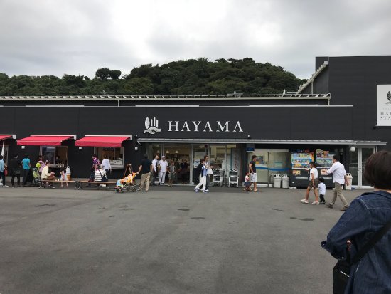 Hayama Station