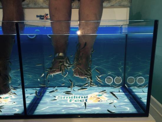 Fishness Fish Spa & Wellness