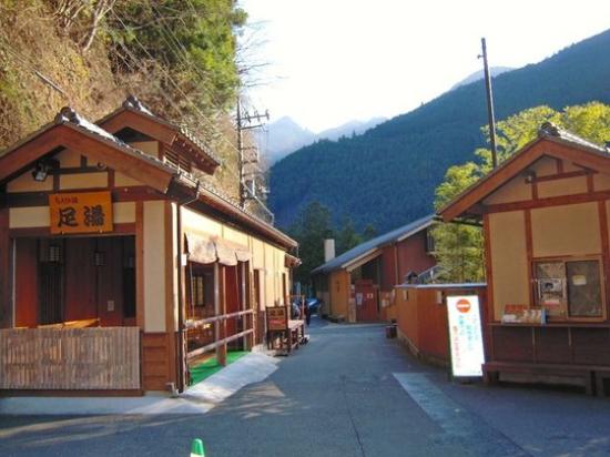 Okutama Onsen Moegi no Yu