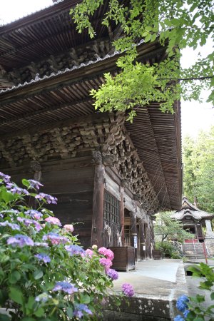 Tokueizan Myohoji Temple