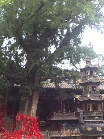 Qingtan Temple