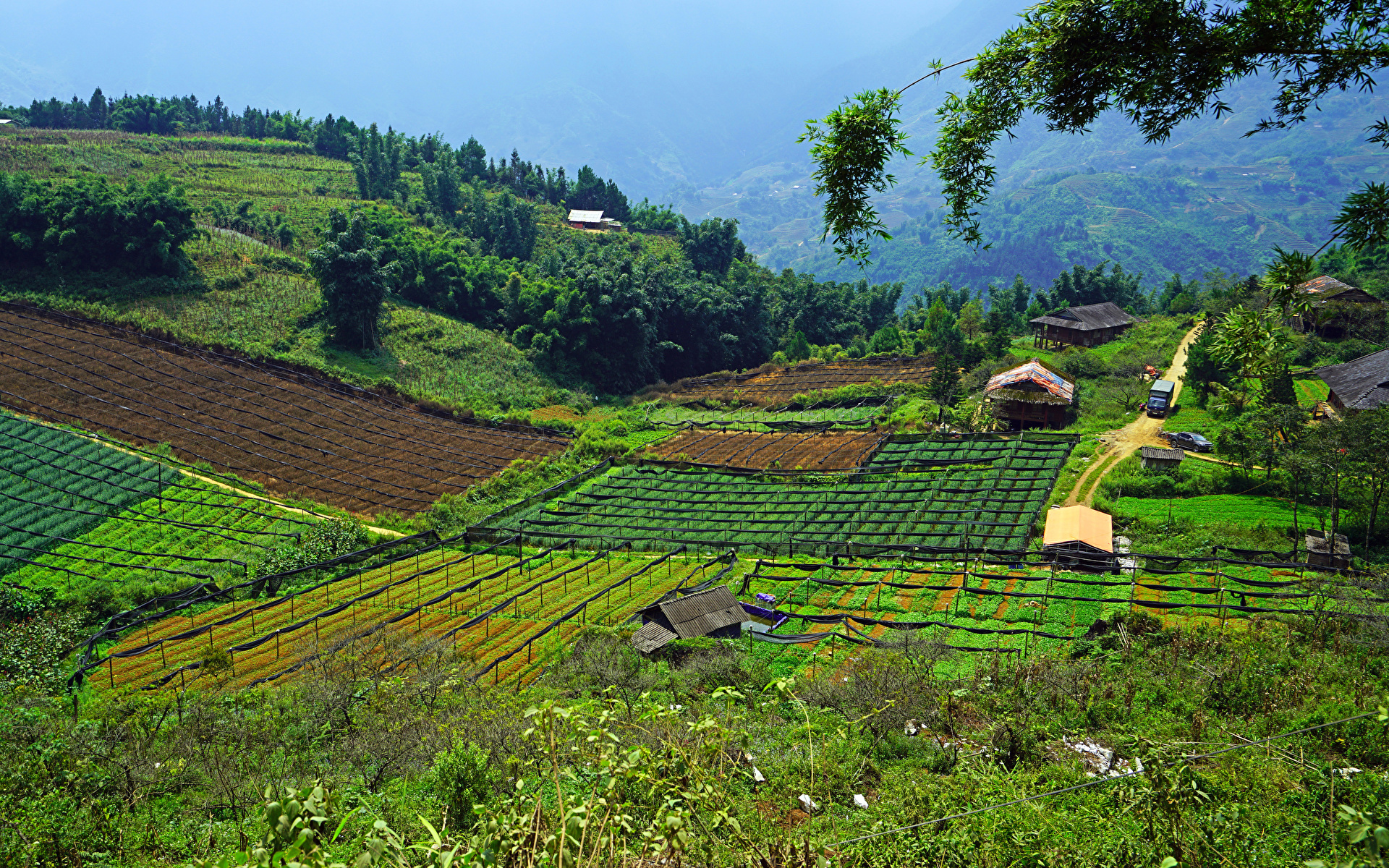 Muong Hoa Valley