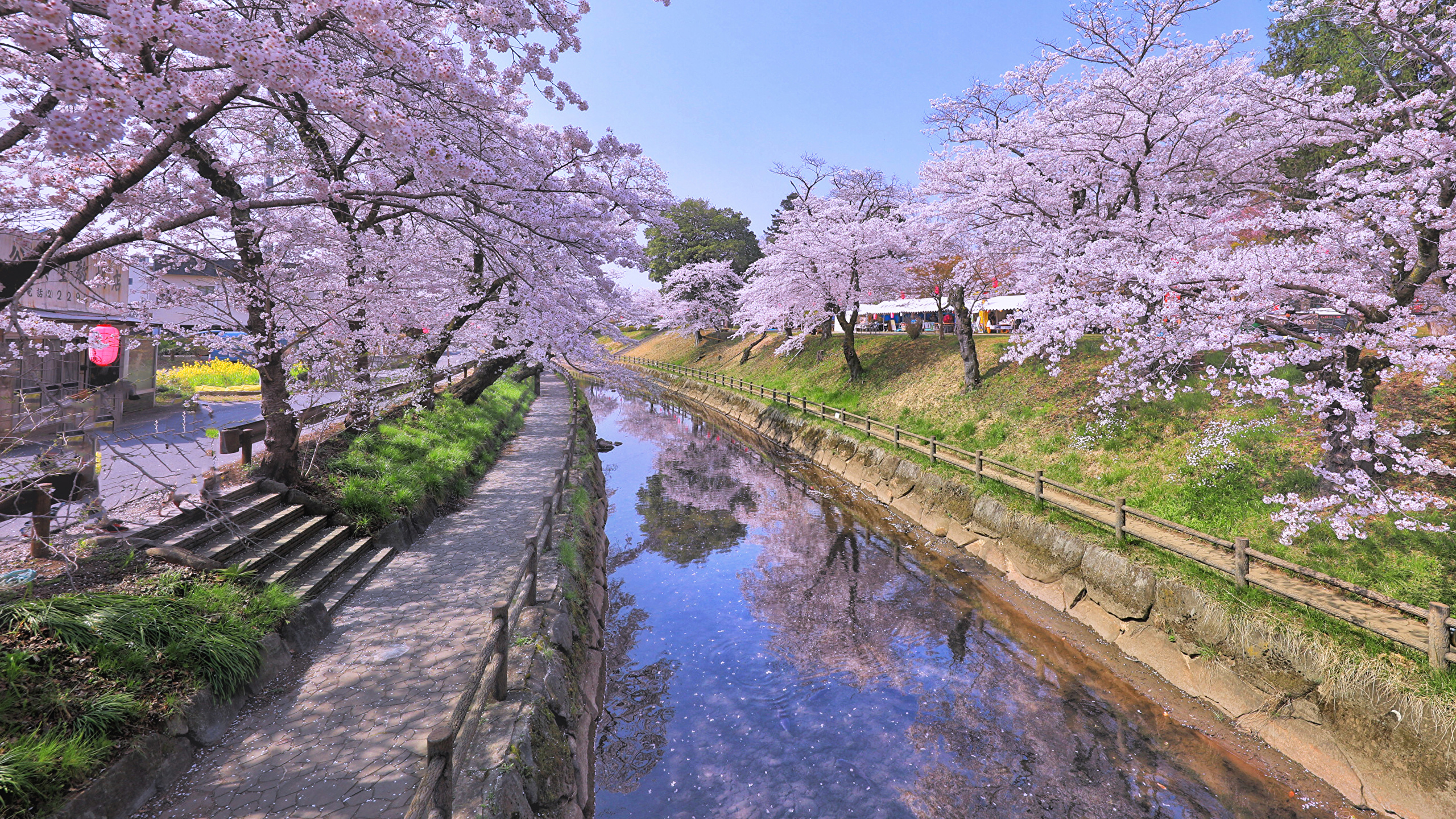 Sakura Natural Hot Spring Sumire