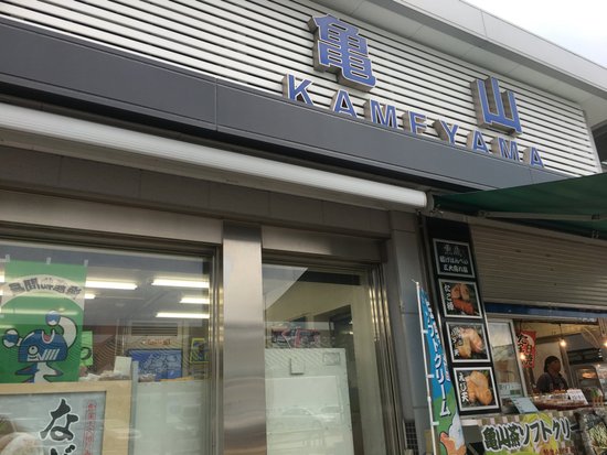 Kameyama Parking Area Downline