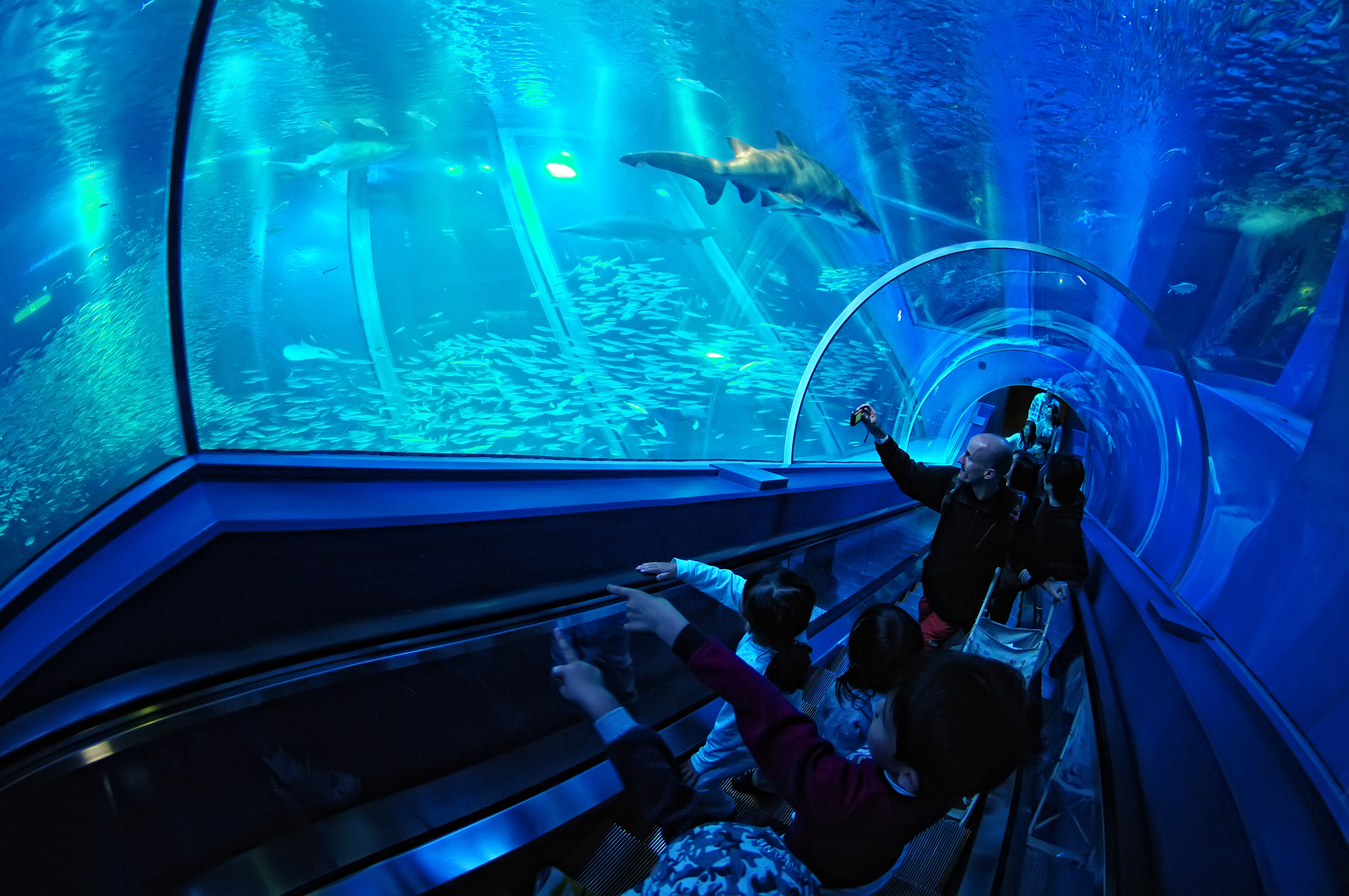 Yokohama Hakkeijima Sea Paradise