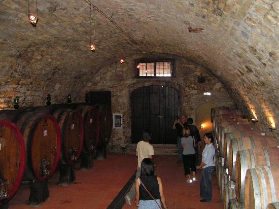 Fattoria di Montecchio