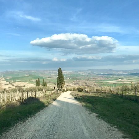 Azienda Agricola Sante Marie di Vignoni