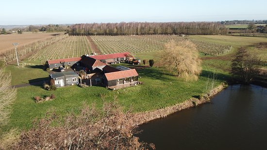 Dedham Vale Vineyard - Winery And Estate