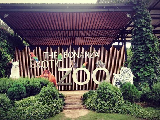 The Bonanza Exotic Zoo