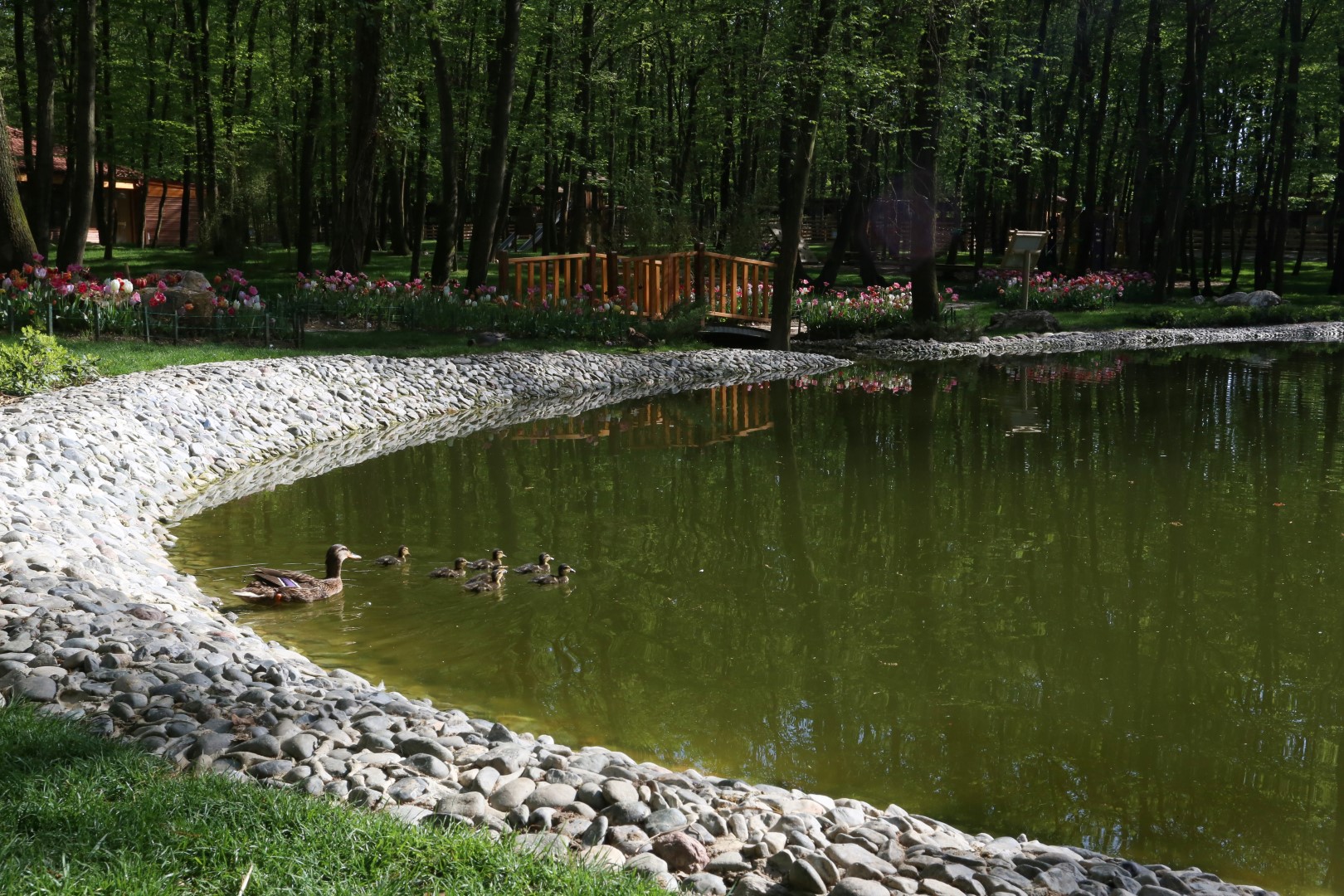 Outdoor Pictures 1