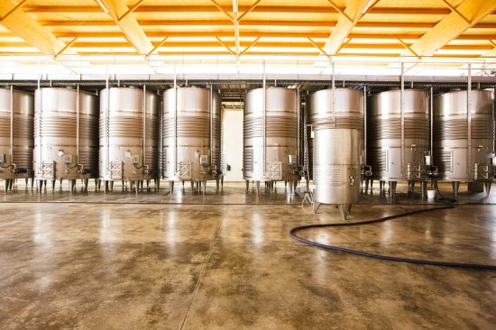Bodegas Vi Rei