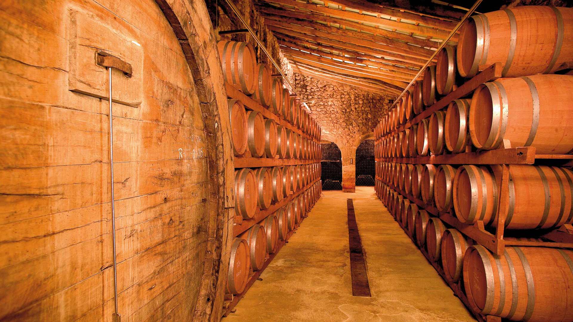 Bodega Ribas