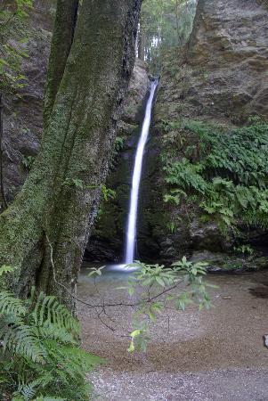 Shukuya Falls