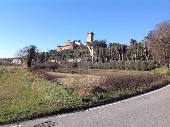 Turini Rental Driver