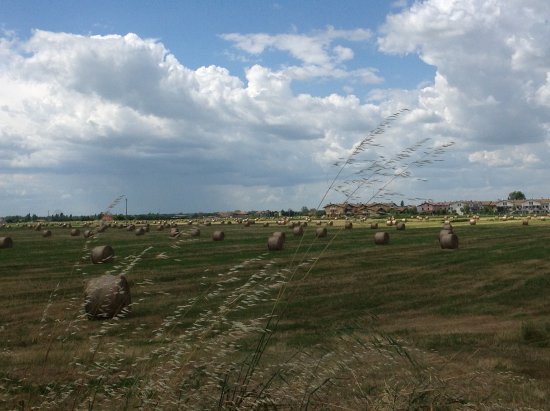 Agriturismo Lugarara di Dondini