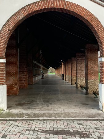 Centro Culturale Cascina Grande