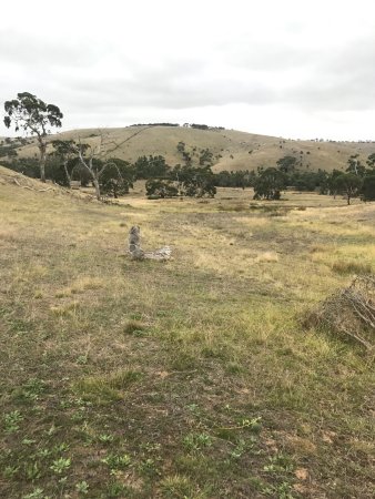 Bullock Hill Conservation Park