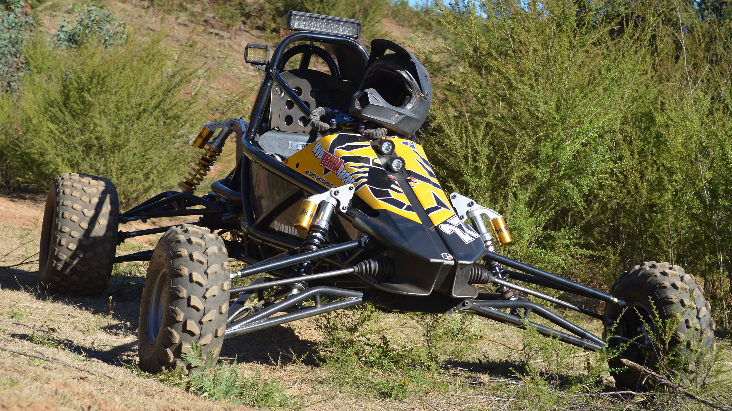 Buggy Parks