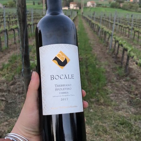 Bocale Vini