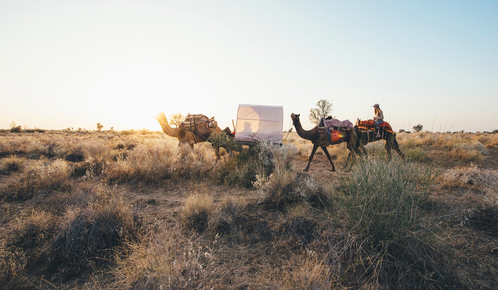 Bikaner Camel Safari