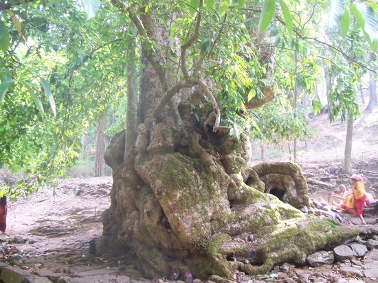 Biligirirangan Hills