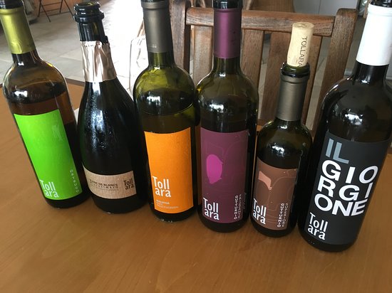 Cantina La Tollara