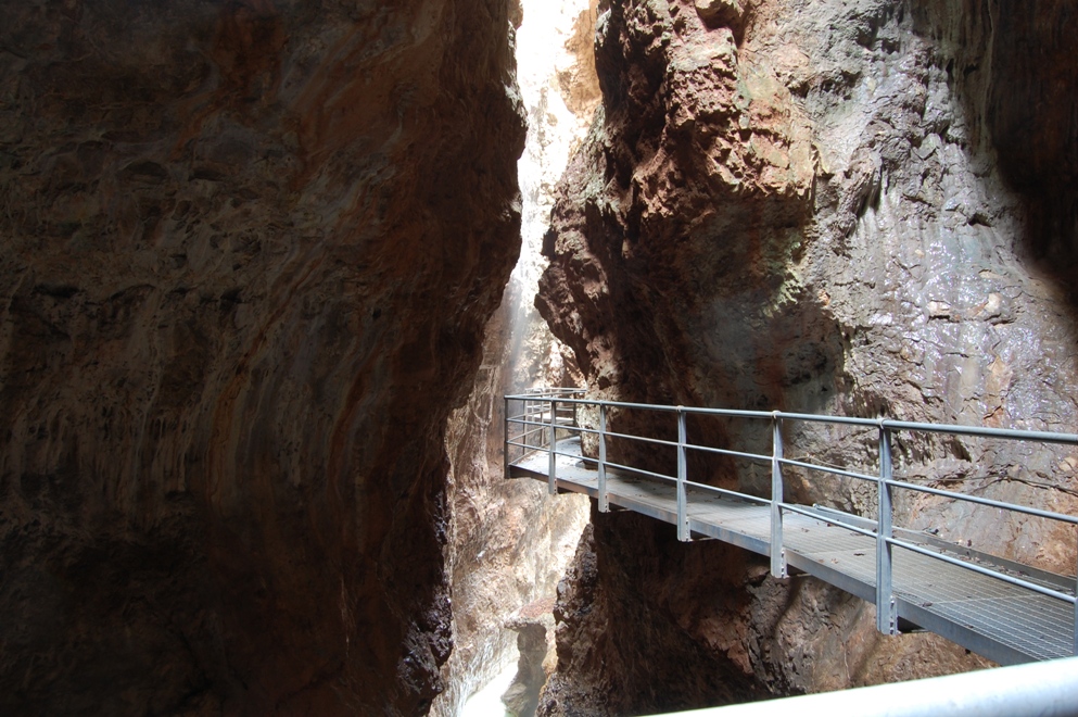 Canyon Rio Sass