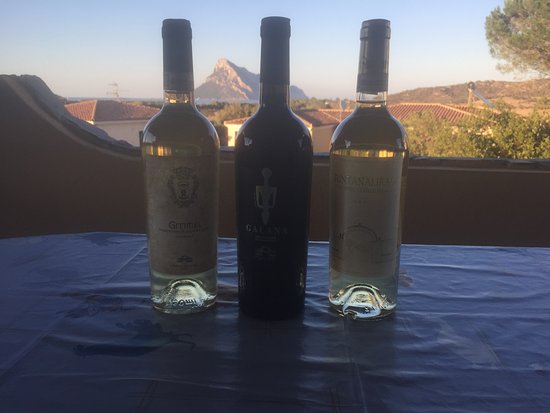 Cantina sociale del vermentino di monti
