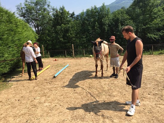 Associazione Wild Heart