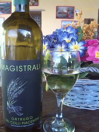 Azienda Vitivinicola Magistrali Laura